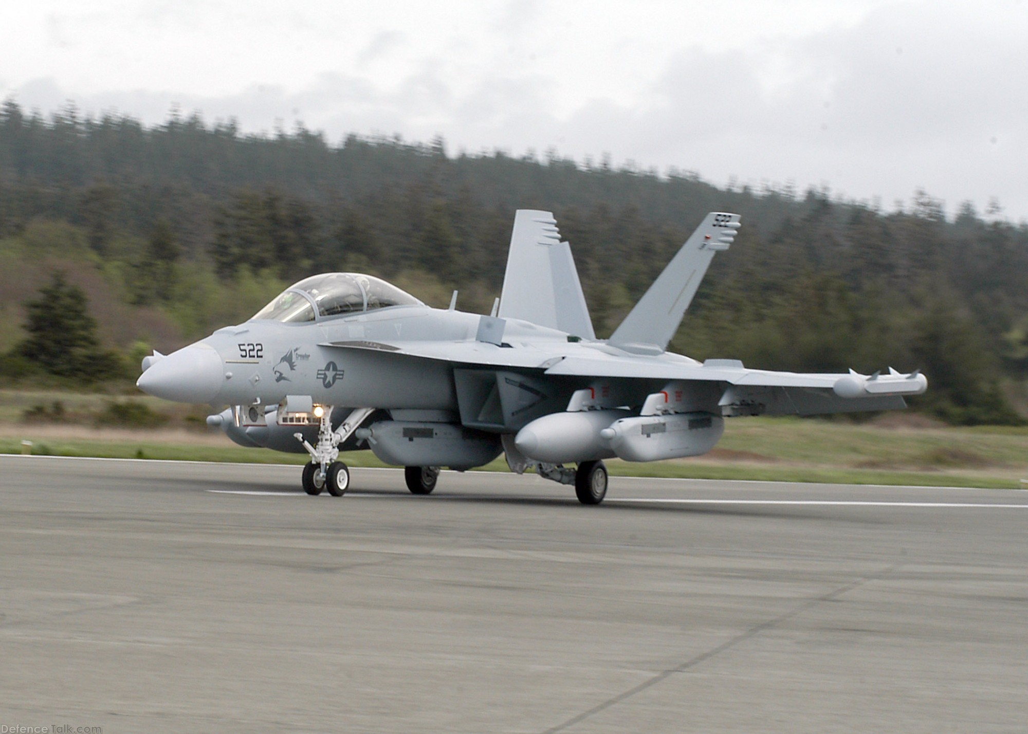 US Navy EA-18G Growler Electronic Warfare Fighter