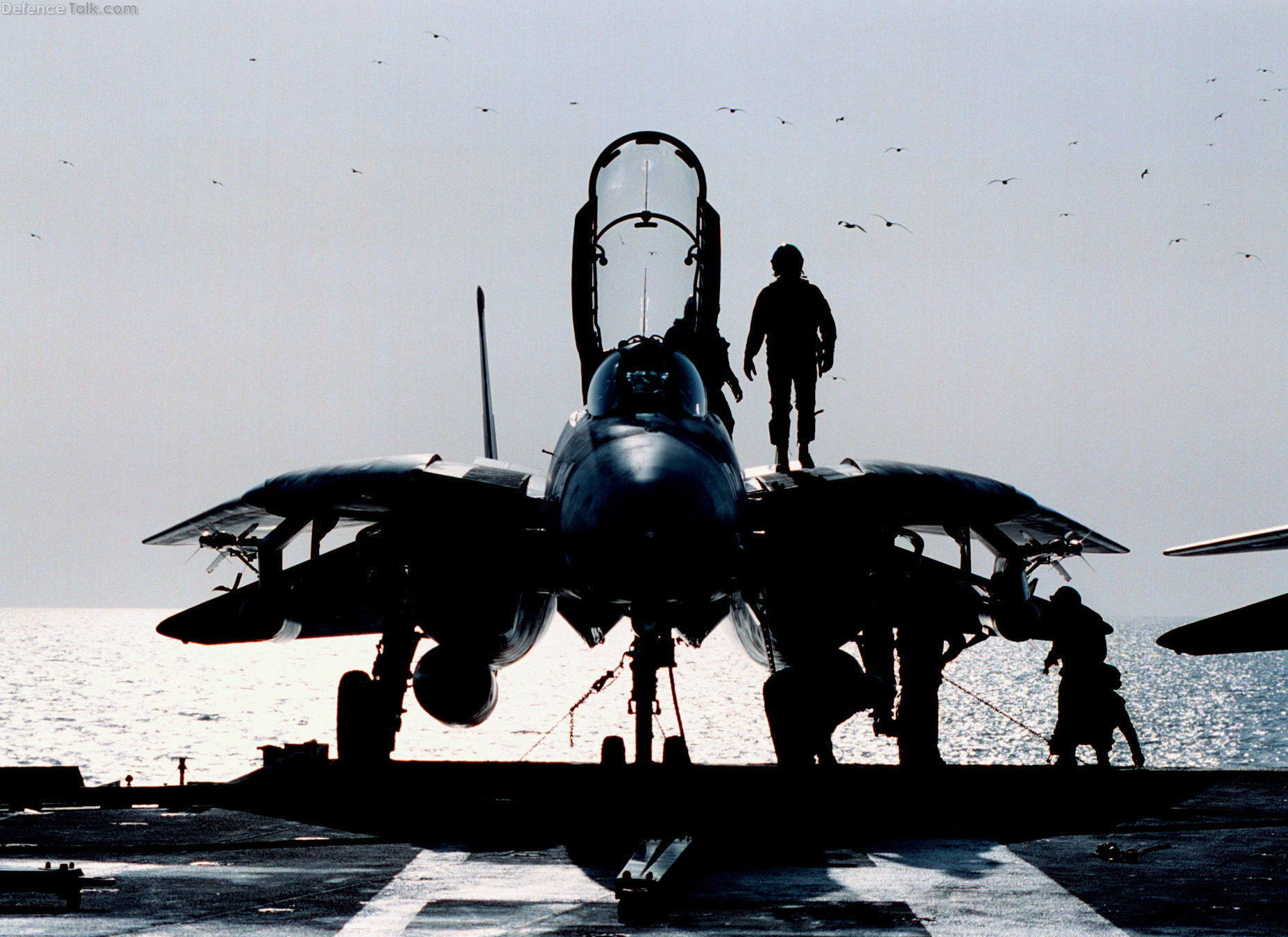 US Navy F-14 Tomcat