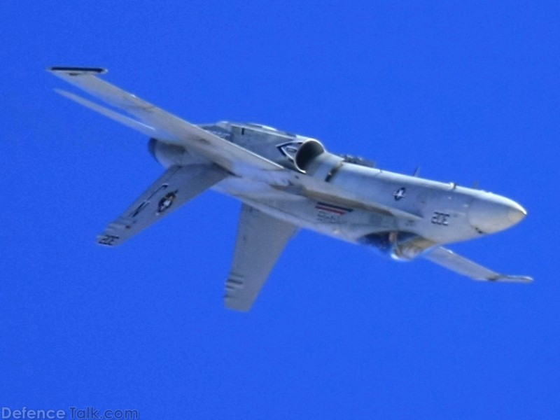 US Navy F/A-18C Hornet Fighter