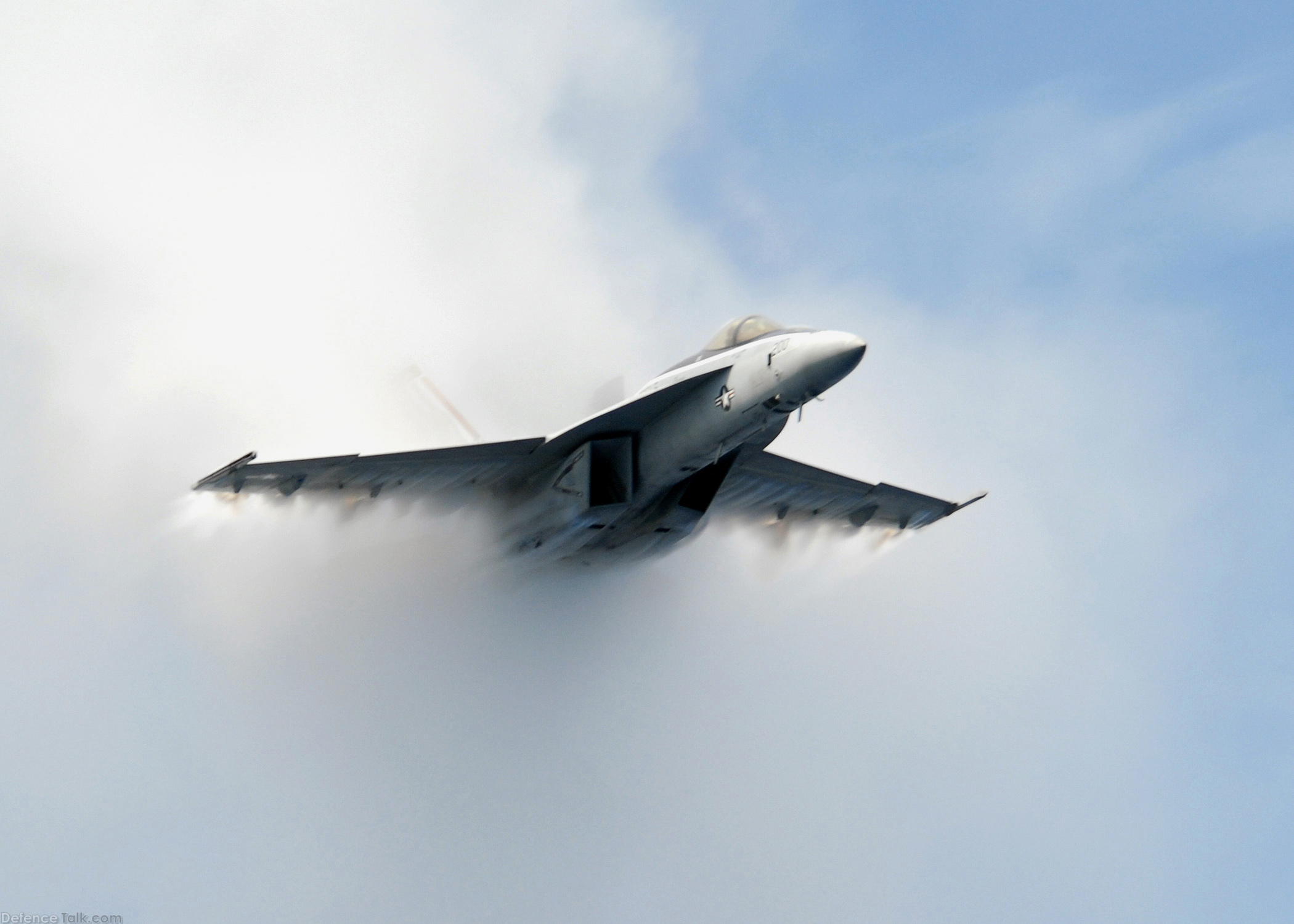 US Navy F/A-18E Super Hornet Fighter