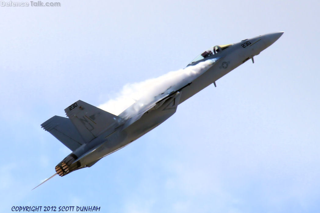 US Navy F/A-18E Super Hornet Fighter