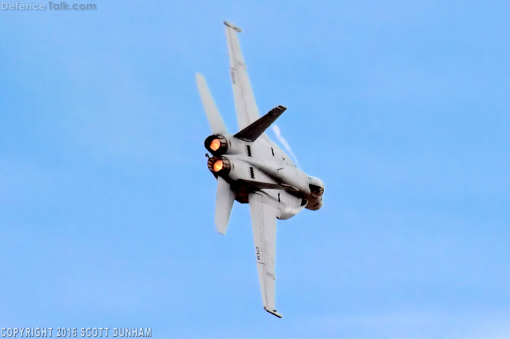 US Navy F/A-18E Super Hornet Fighter