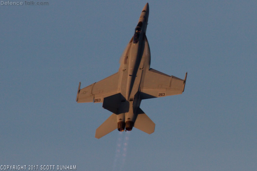 US Navy F/A-18E Super Hornet Fighter