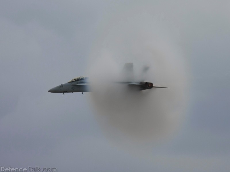 US Navy F/A-18F Super Hornet Fighter