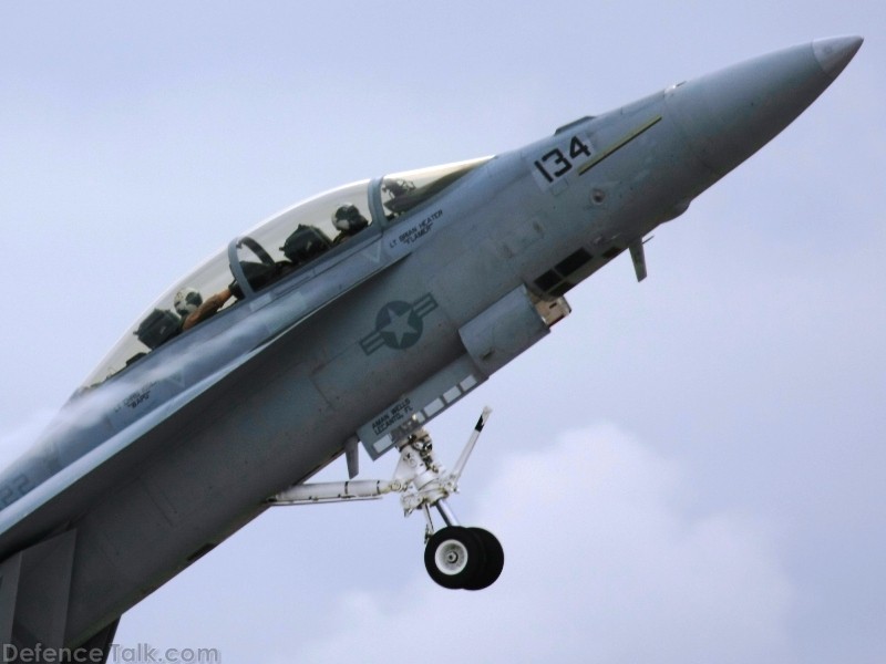 US Navy F/A-18F Super Hornet Fighter