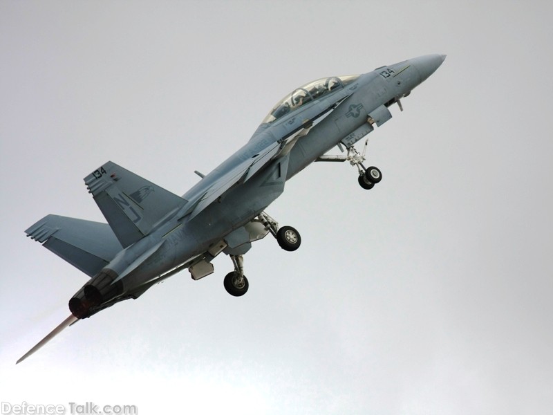 US Navy F/A-18F Super Hornet Fighter