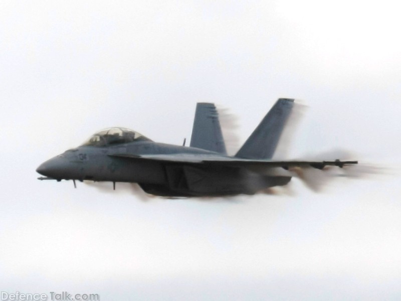 US Navy F/A-18F Super Hornet Fighter