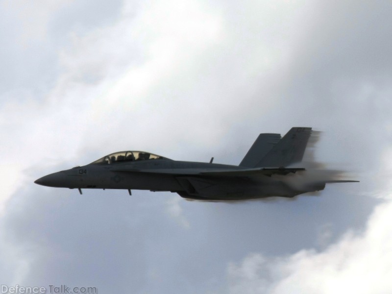 US Navy F/A-18F Super Hornet Fighter