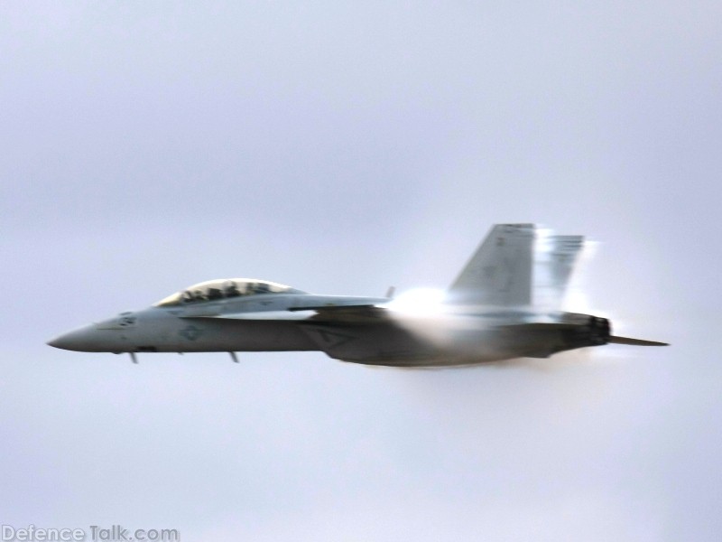 US Navy F/A-18F Super Hornet Fighter