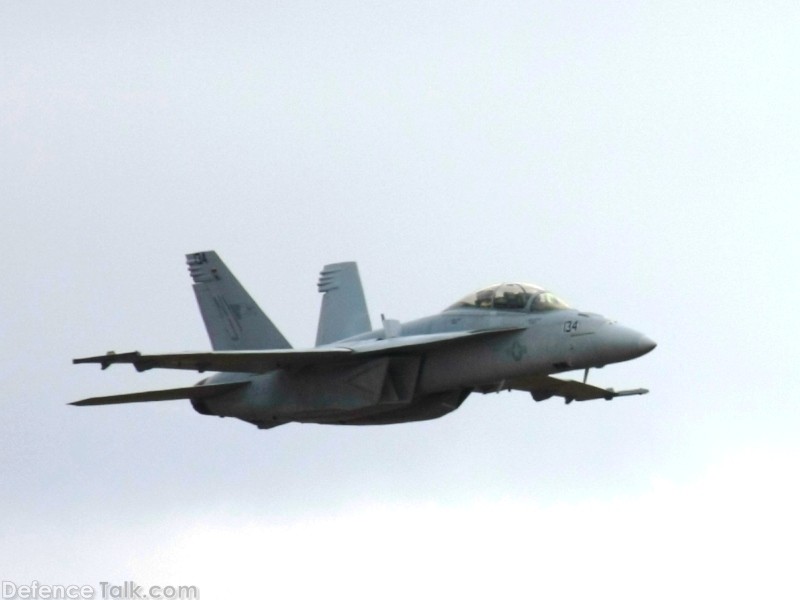 US Navy F/A-18F Super Hornet Fighter