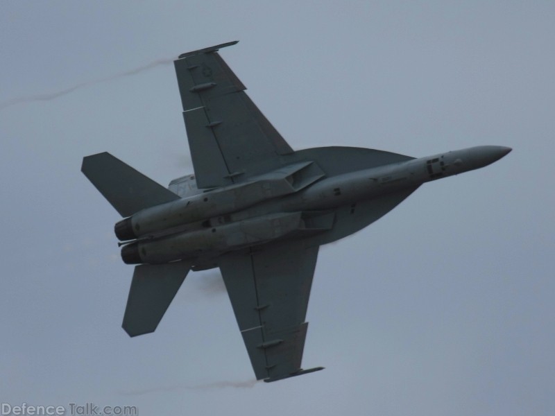 US Navy F/A-18F Super Hornet Fighter