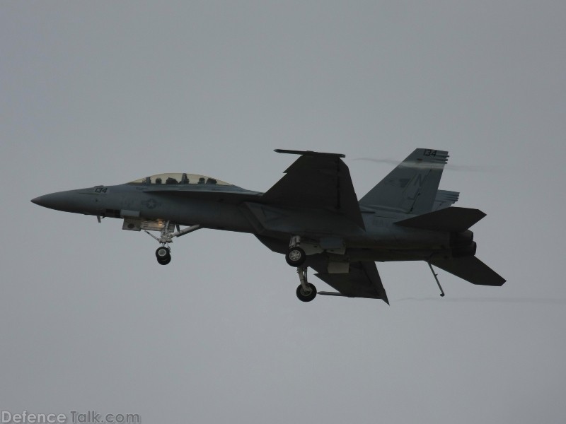 US Navy F/A-18F Super Hornet Fighter