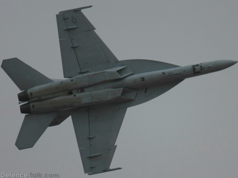 US Navy F/A-18F Super Hornet Fighter