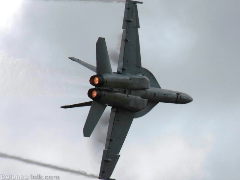 US Navy F/A-18F Super Hornet Fighter