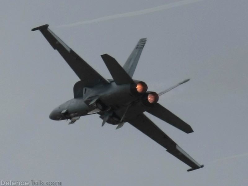 US Navy F/A-18F Super Hornet Fighter