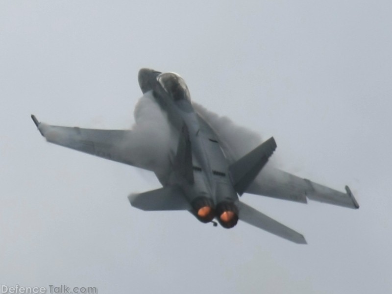 US Navy F/A-18F Super Hornet Fighter