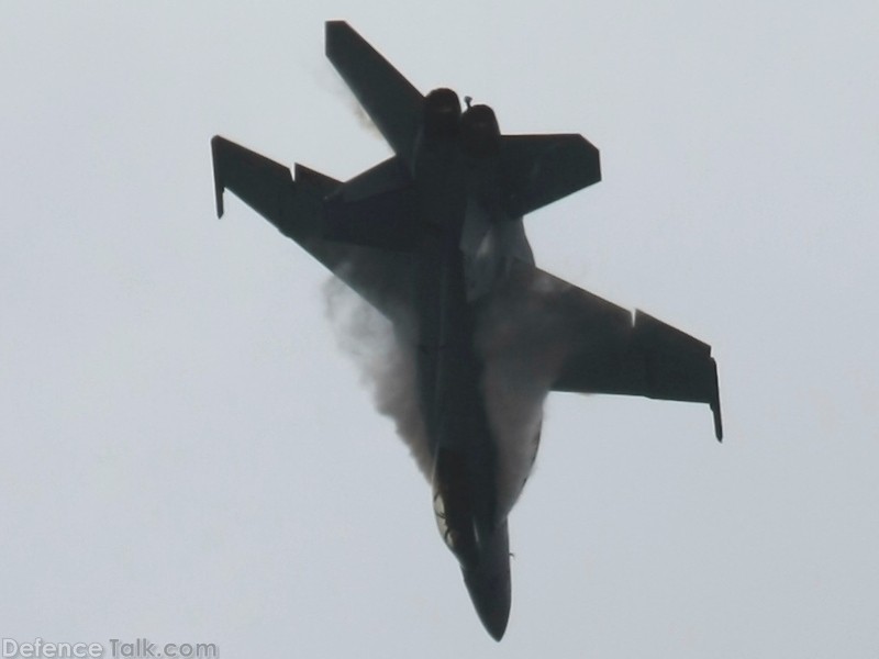 US Navy F/A-18F Super Hornet Fighter