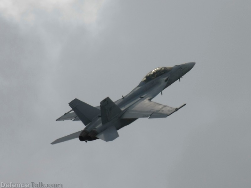 US Navy F/A-18F Super Hornet Fighter