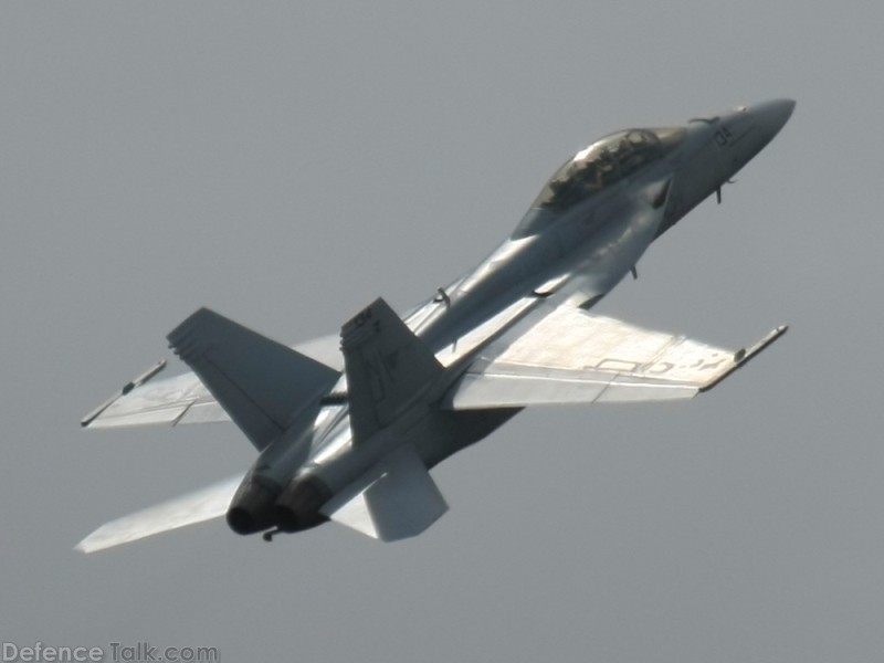 US Navy F/A-18F Super Hornet Fighter