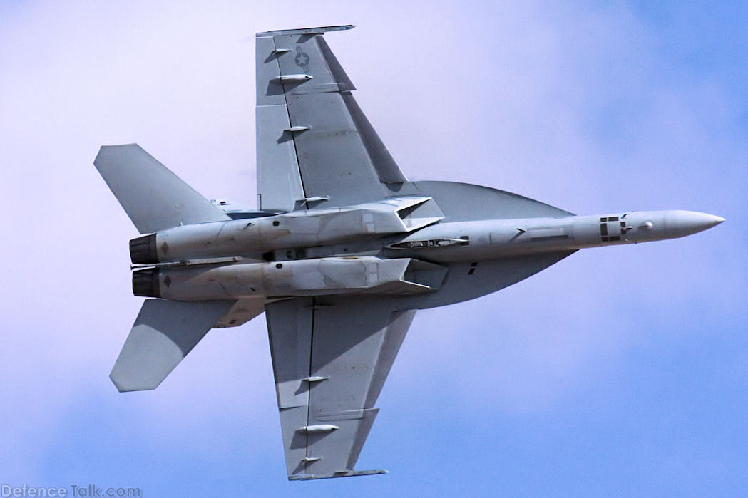 US Navy F/A-18F Super Hornet Fighter