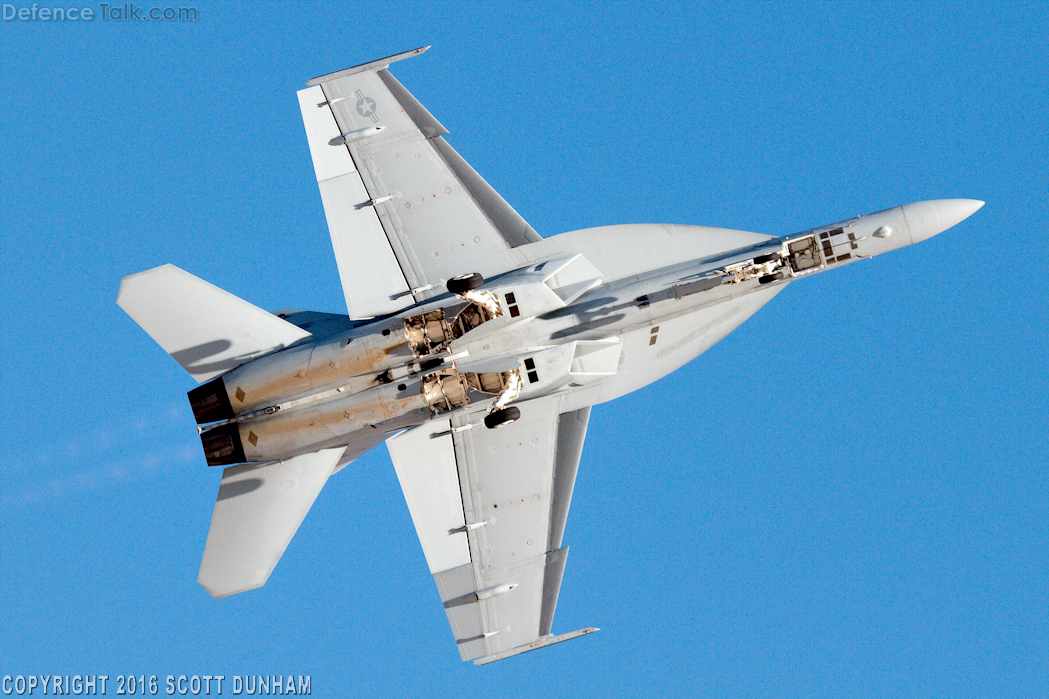 US Navy F/A-18F Super Hornet Fighter