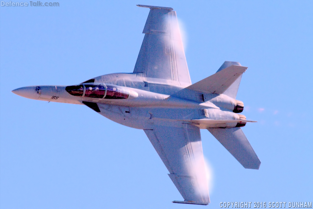 US Navy F/A-18F Super Hornet Fighter