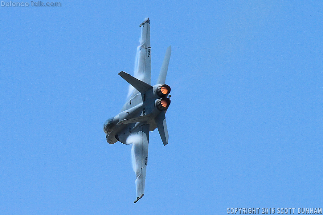 US Navy F/A-18F Super Hornet Fighter