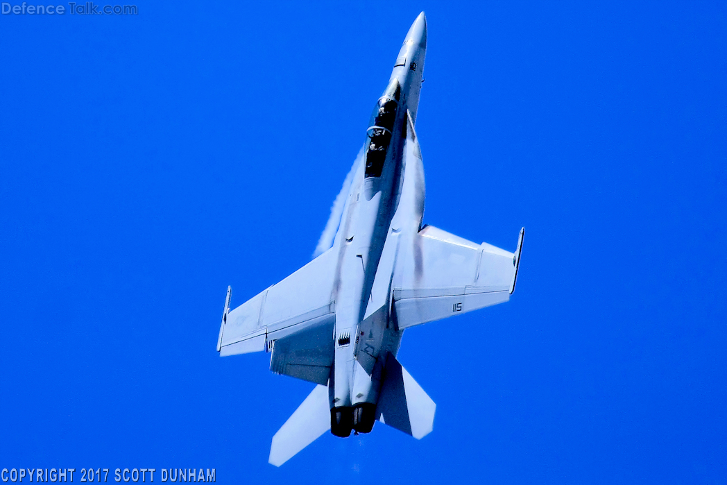 US Navy F/A-18F Super Hornet Fighter