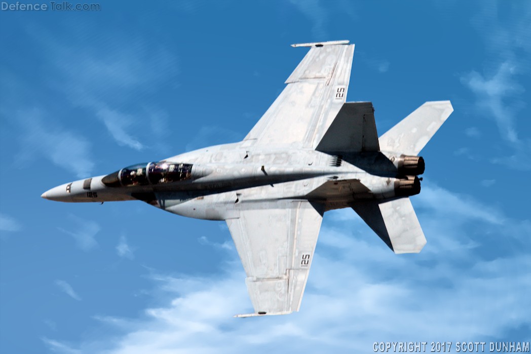 US Navy F/A-18F Super Hornet Fighter