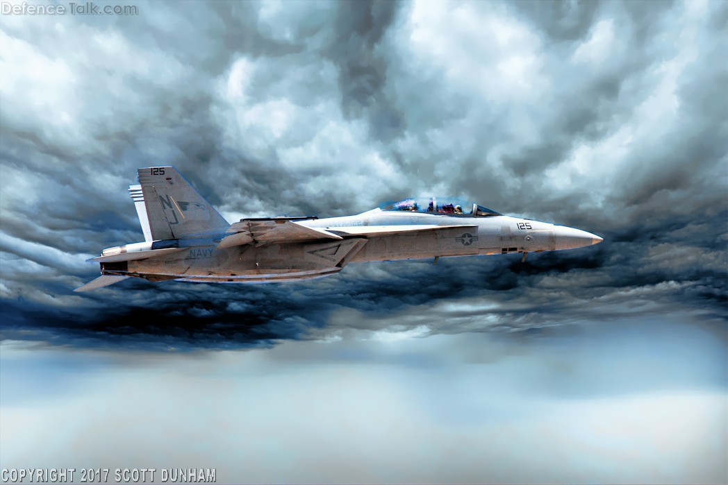 US Navy F/A-18F Super Hornet Fighter