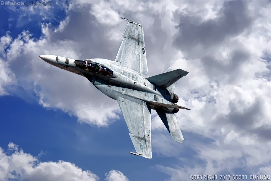 US Navy F/A-18F Super Hornet Fighter