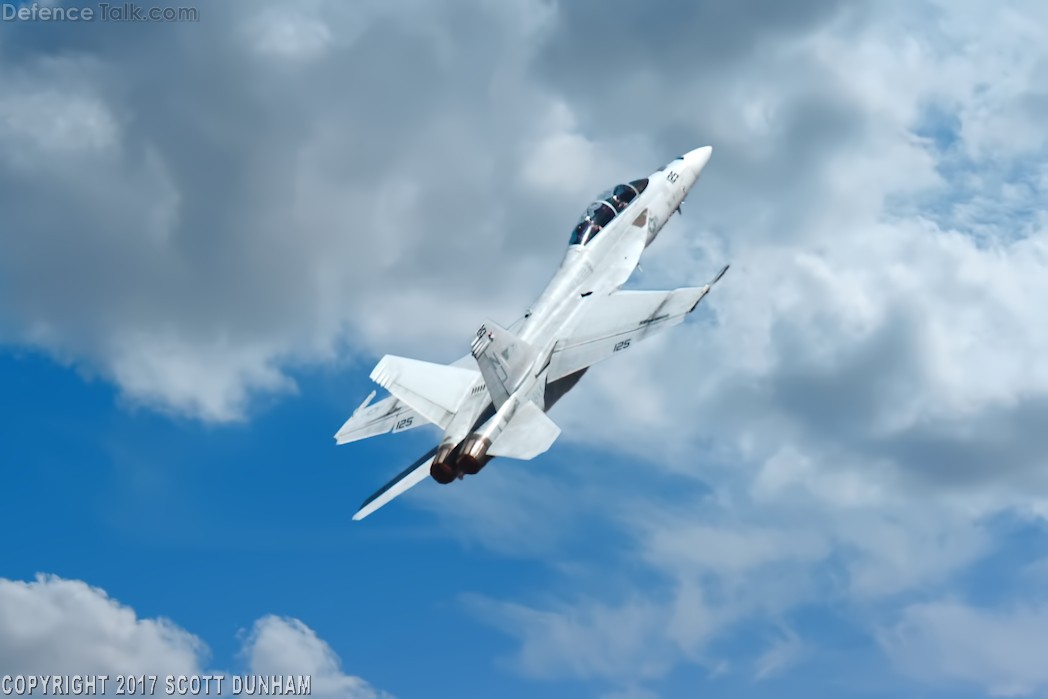 US Navy F/A-18F Super Hornet Fighter