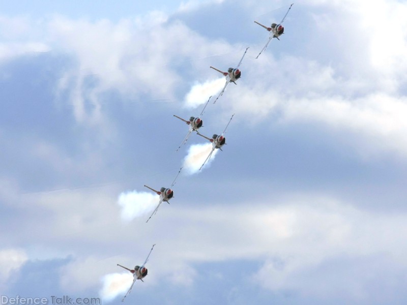 USAF Thunderbirds Flight Demonstration Team