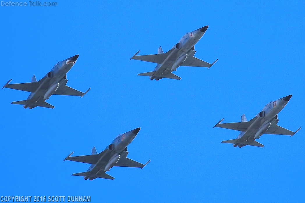 USMC F-5N Tiger II Aggressor Fighter