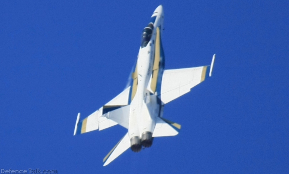 USN F/A-18C Hornet Fighter