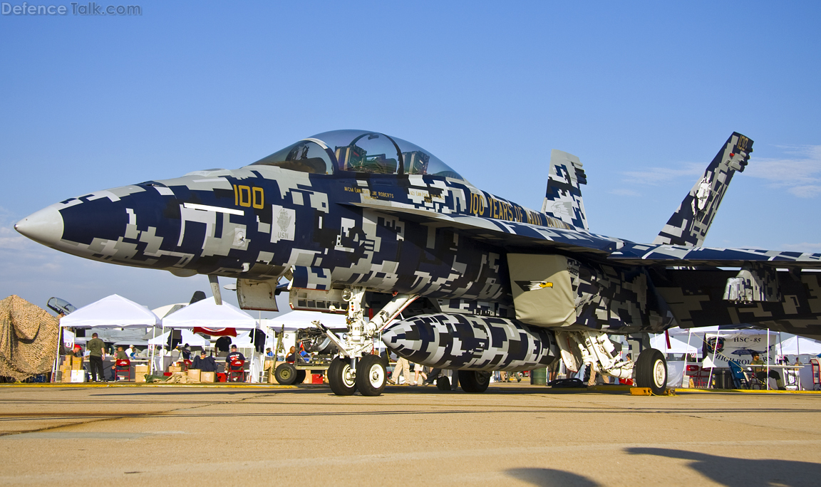 VFA-122 100 Years Aviation - Miramar 2010