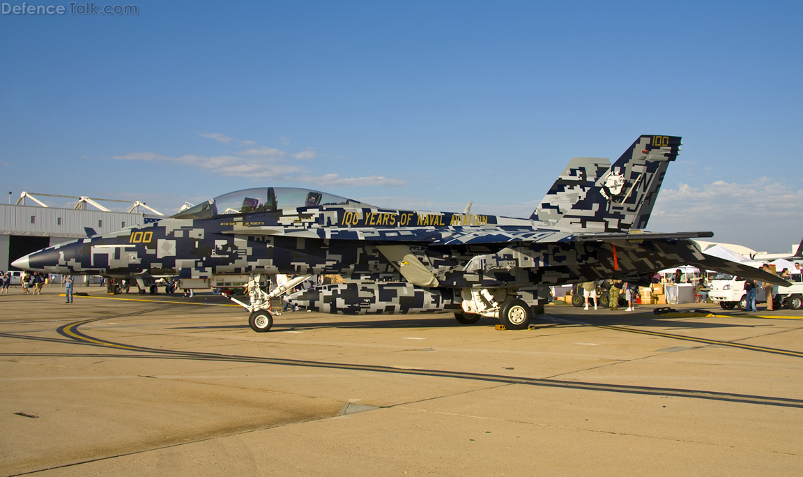 VFA-122 100 Years Aviation - Miramar 2010122