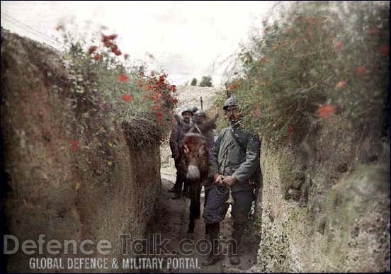 War Photo - World War One