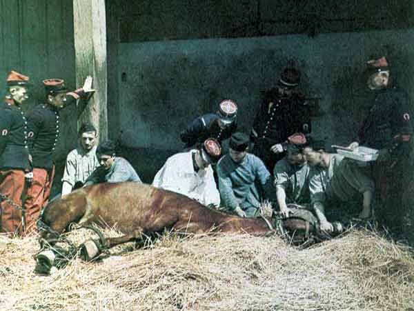 War Picture - World War One