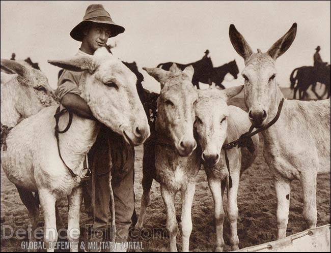 World War 1 photo by James Francis "Frank" Hurley