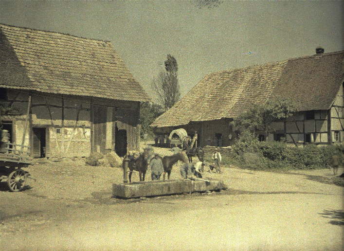 World War I Picture in color - The Great War!