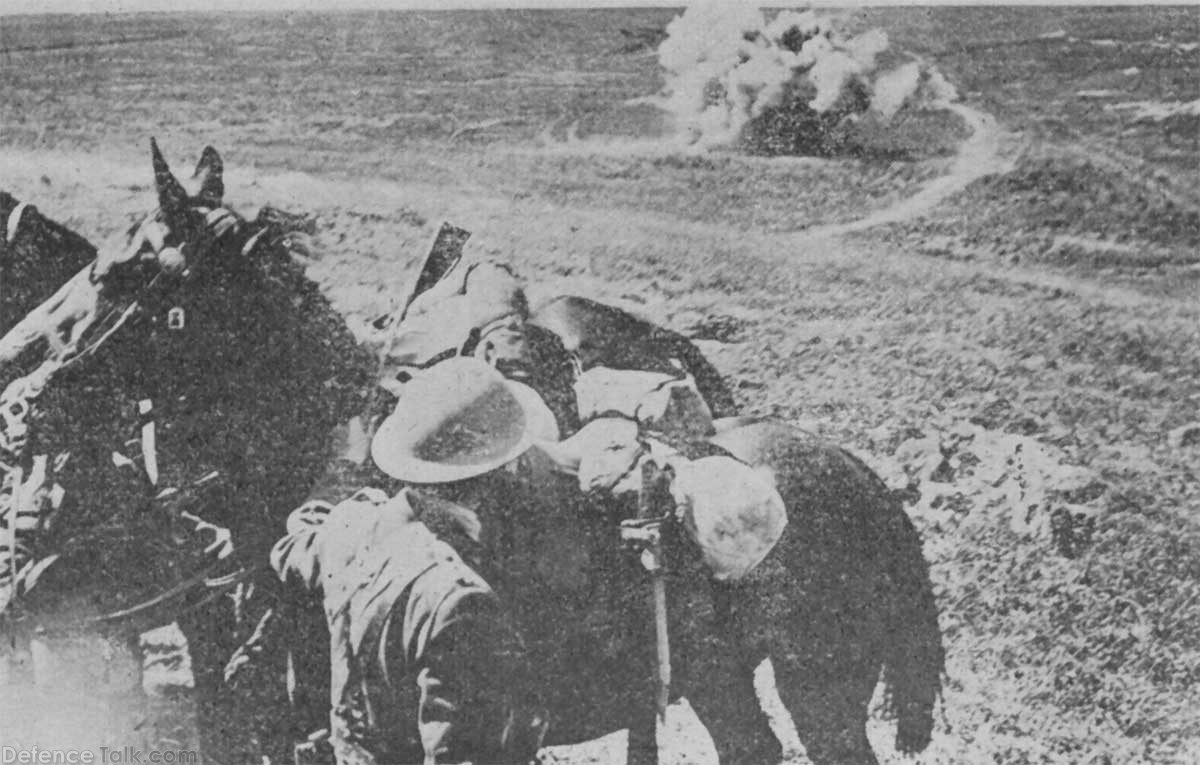 ww_cavalry_shell_01