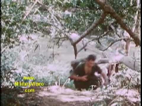 AUSTRALIAN FORCES VIETNAM WAR