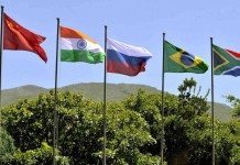 BRICS Flags