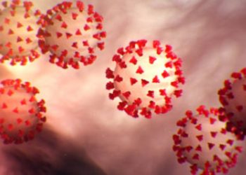 US Defense Dept Makes Plans to Combat Coronavirus