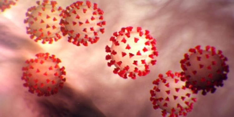 US Defense Dept Makes Plans to Combat Coronavirus