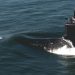 Attack Submarine USS Delaware Joins US Navy Fleet