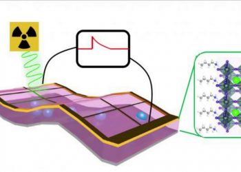Self-powered X-ray detector to revolutionize imaging for medicine and security