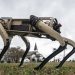 Robot dogs to enhance security at Tyndall AFB