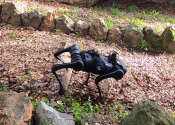 AI Improves Robotic Performance in DARPA’s Machine Common Sense Program